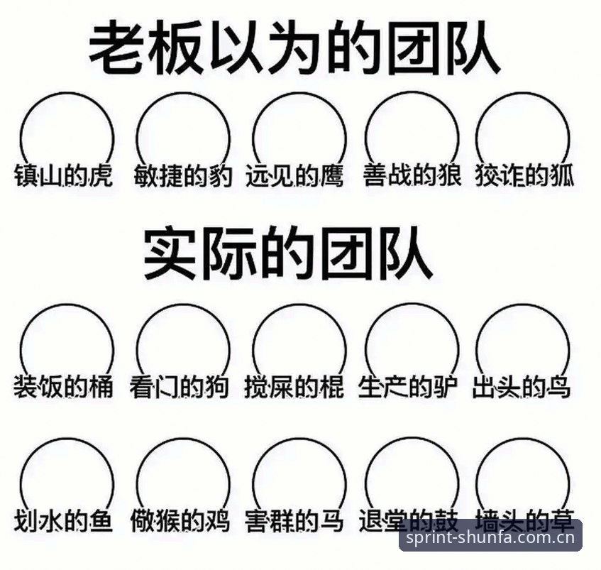 顺发体育好不好 顺发体育好不好?技术评测 vs 用户实际体验的全面对比